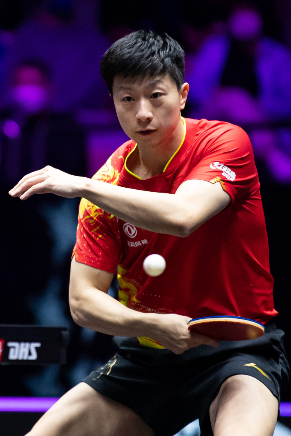 尔西主教练 尔西主教练